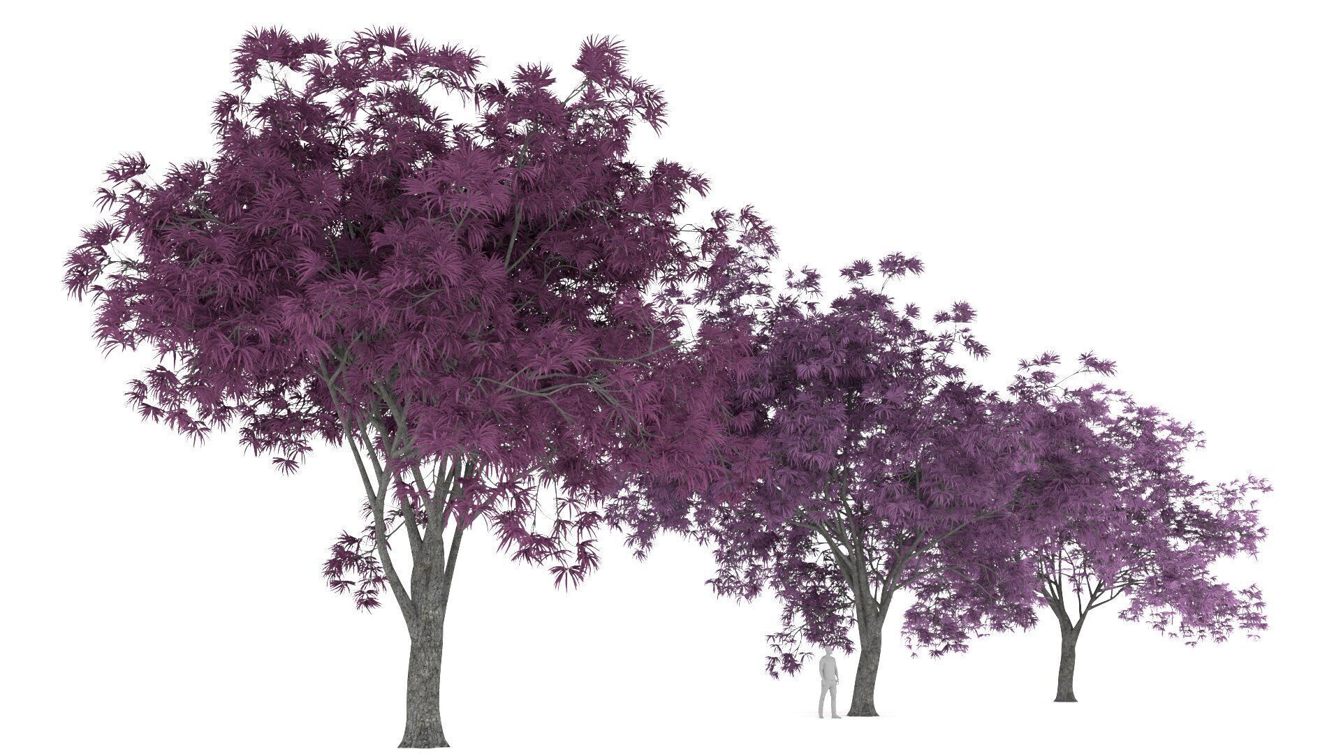Oradycia Tree 3D model_3