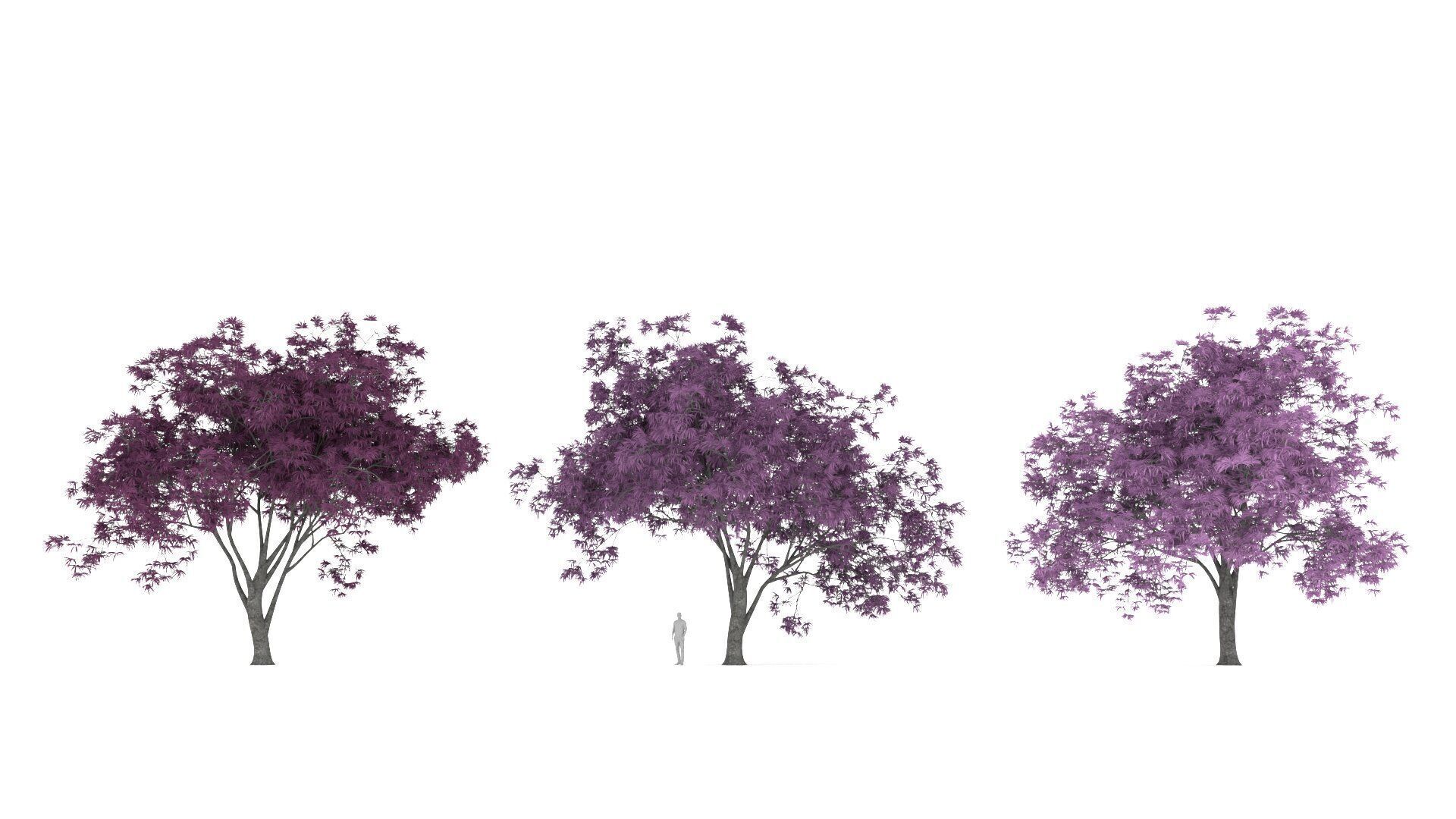 Oradycia Tree 3D model_1