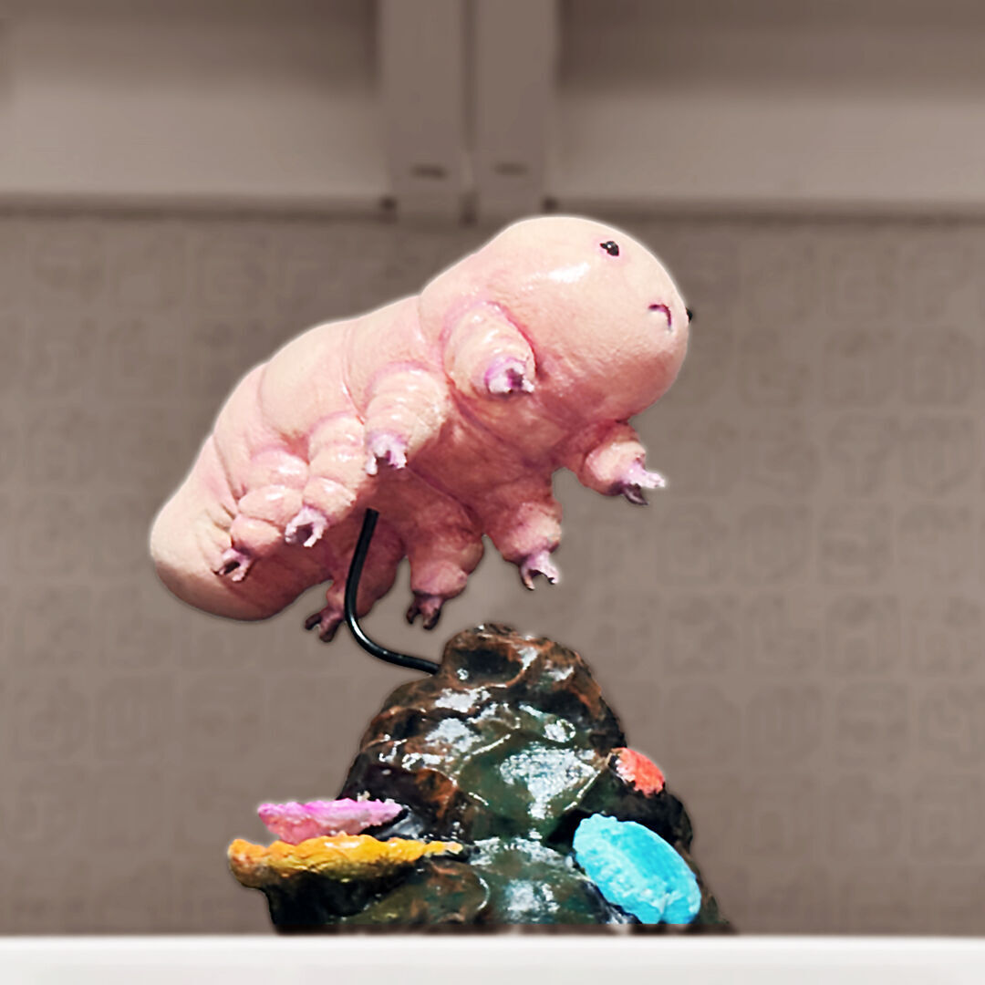 Cryptobiote with Base 3D print model_5