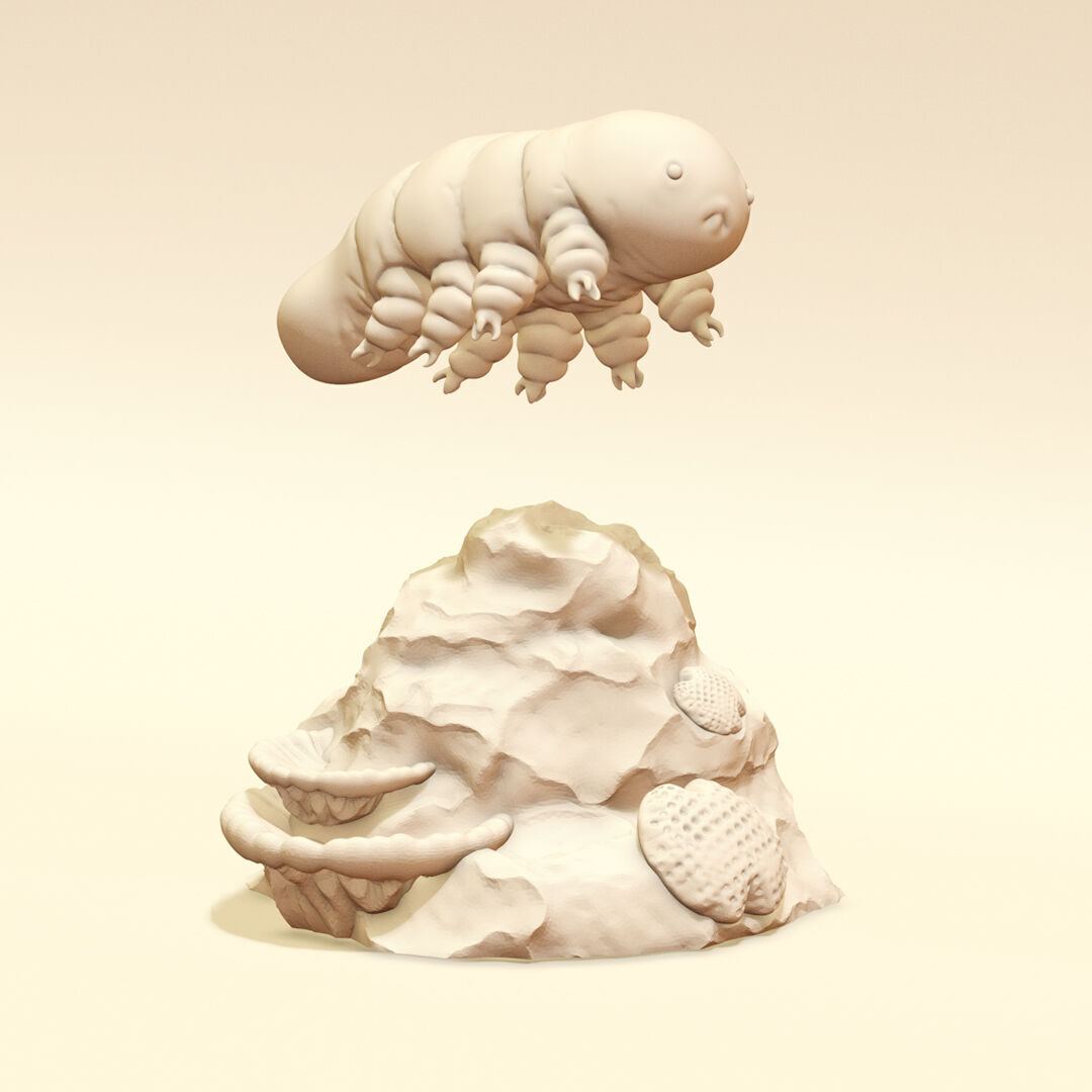 Cryptobiote with Base 3D print model_2