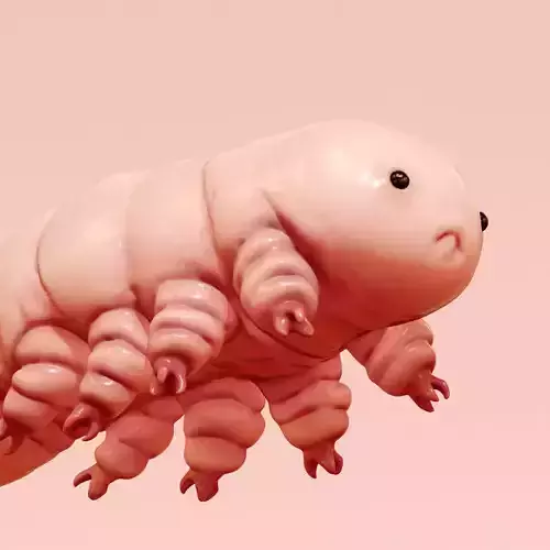 Cryptobiote with Base 3D print model