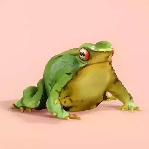 Darwin Frog