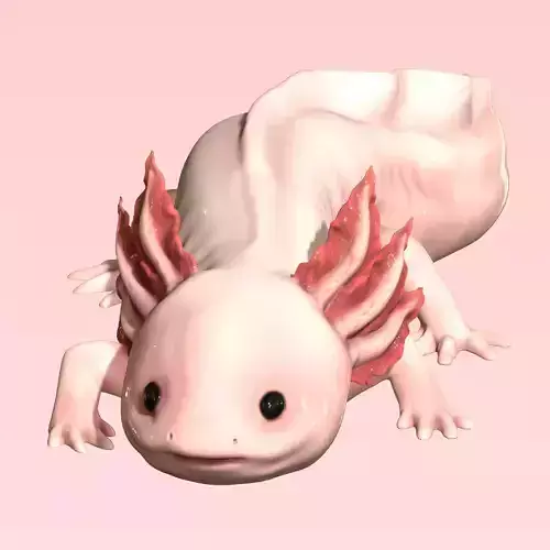 Cute Axolotl 3D print model