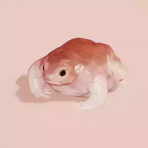 Turtle Frog