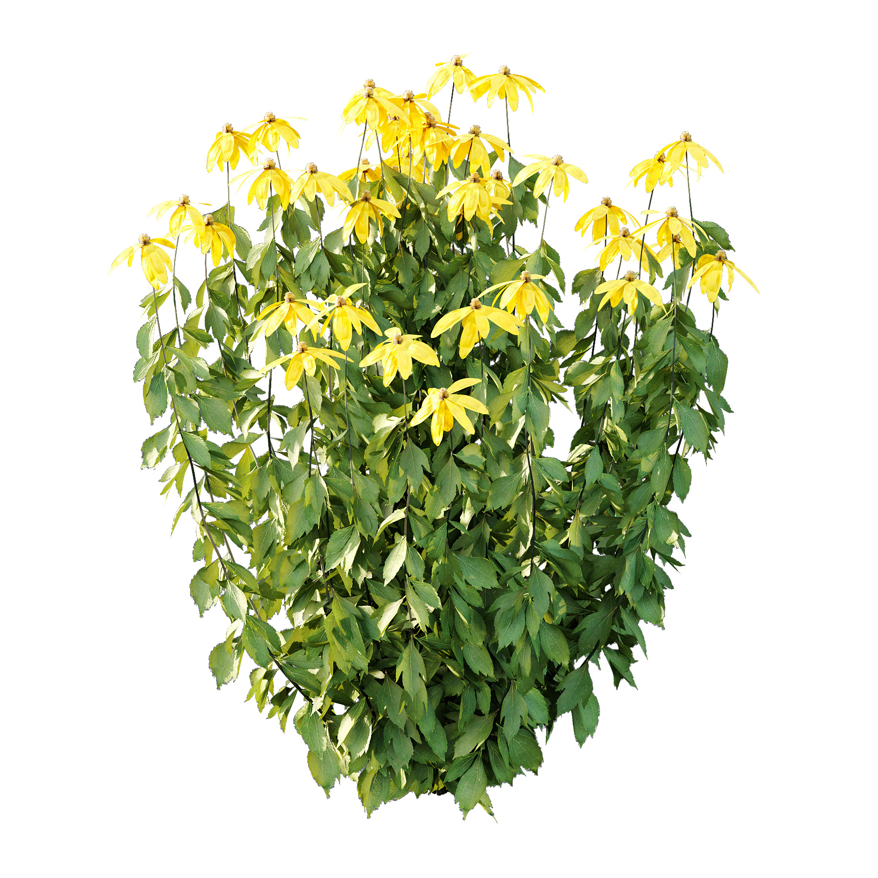 Different bush 07 3D model_1