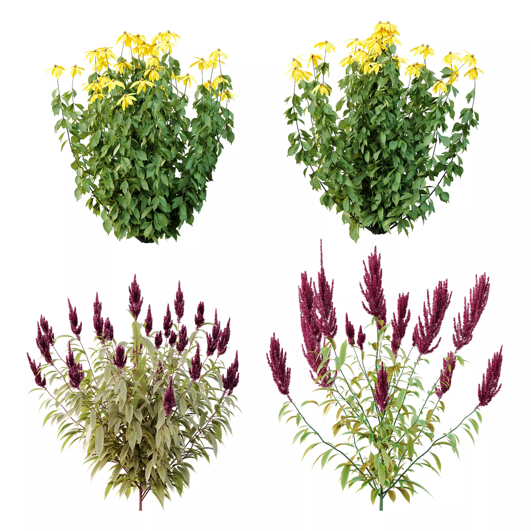 Different bush 07 3D model_0