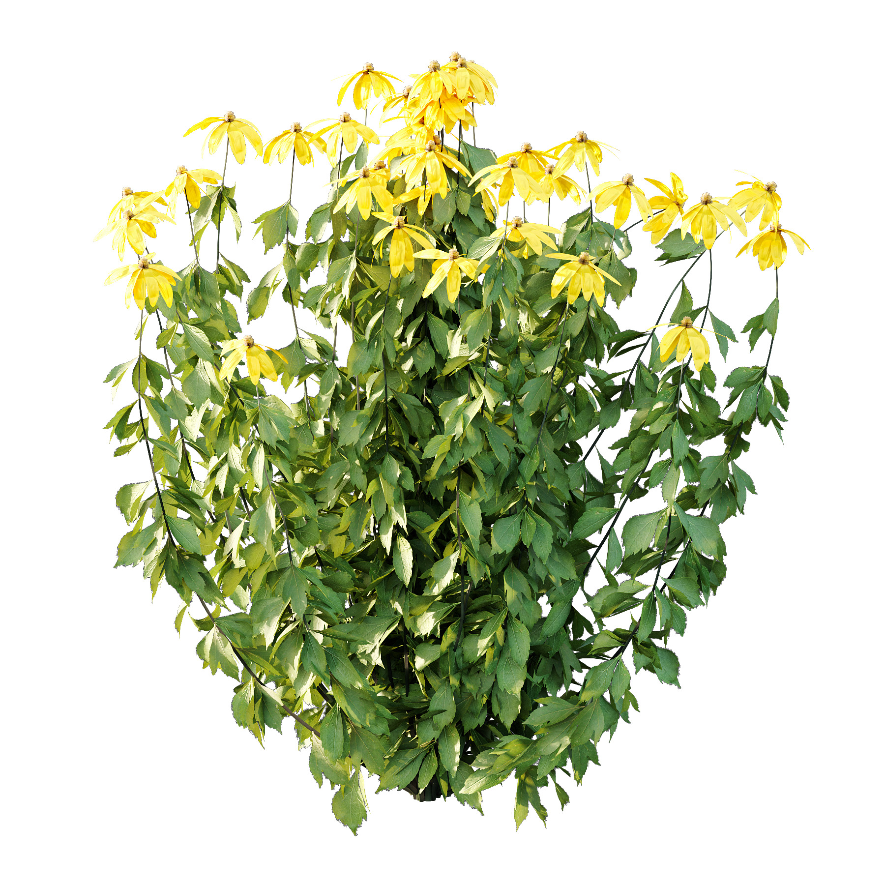 Different bush 07 3D model_3