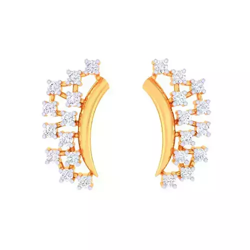 Printable 3D Jewelry design of Earrings with diamonds