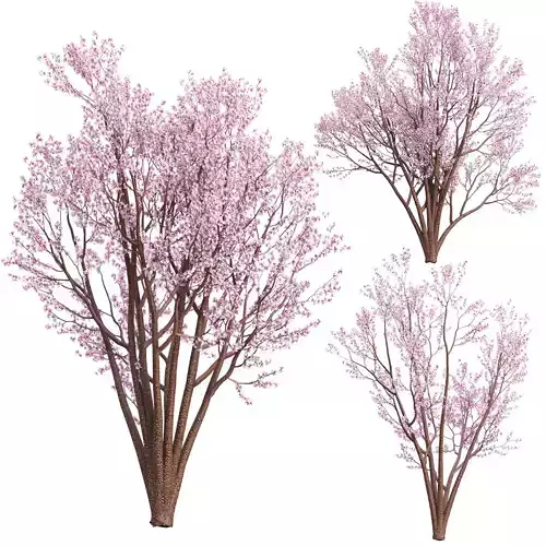 Spring Bloom Trees Collection Vol 294