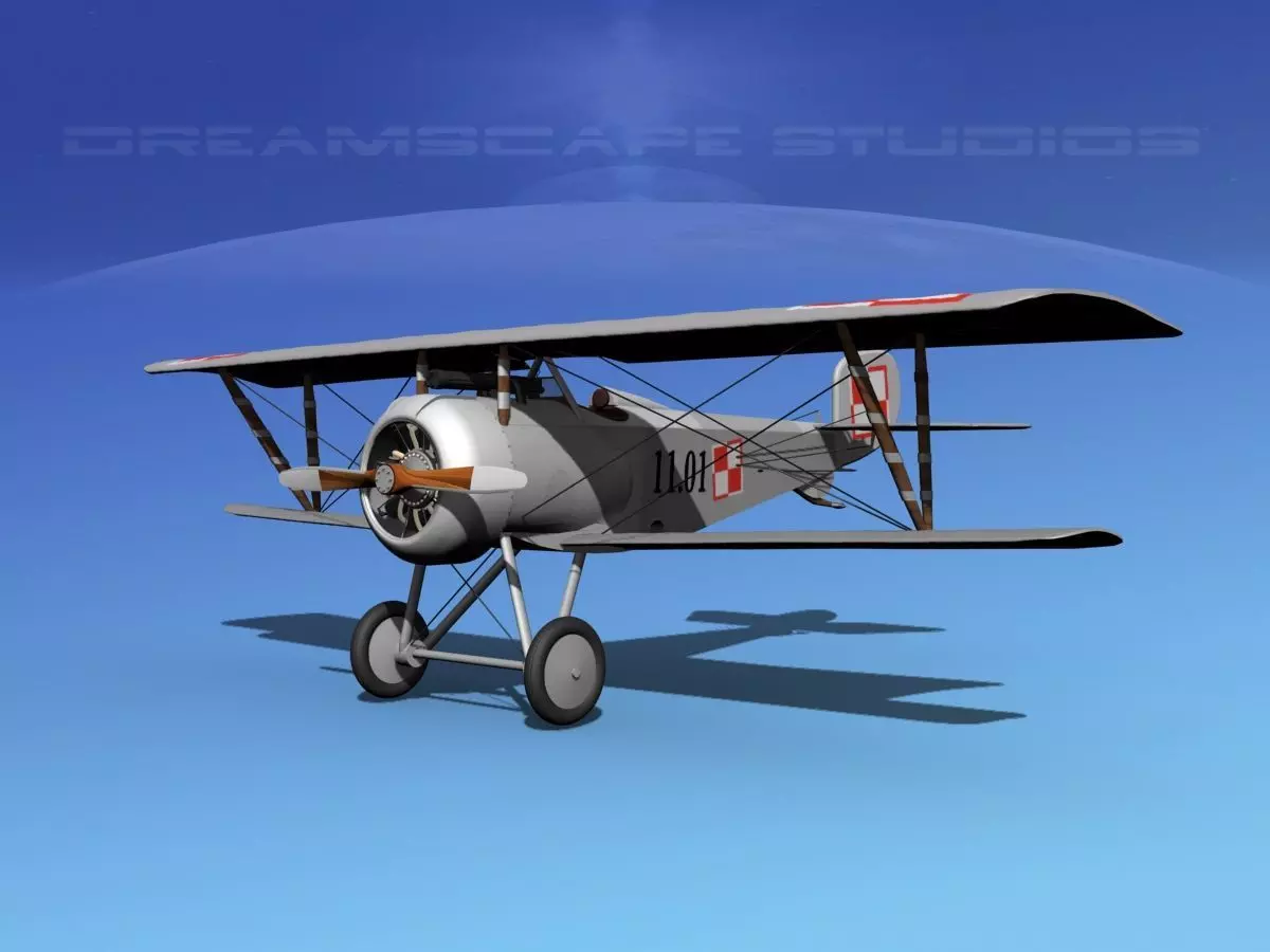 Nieuport 17 Poland 3D model