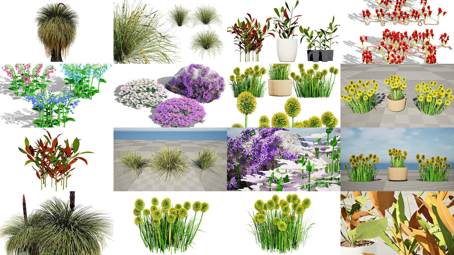 Realistic Australian Plant Models 3D Model Collection_10