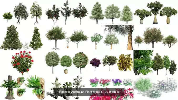 Realistic Australian Plant Models 3D Model Collection