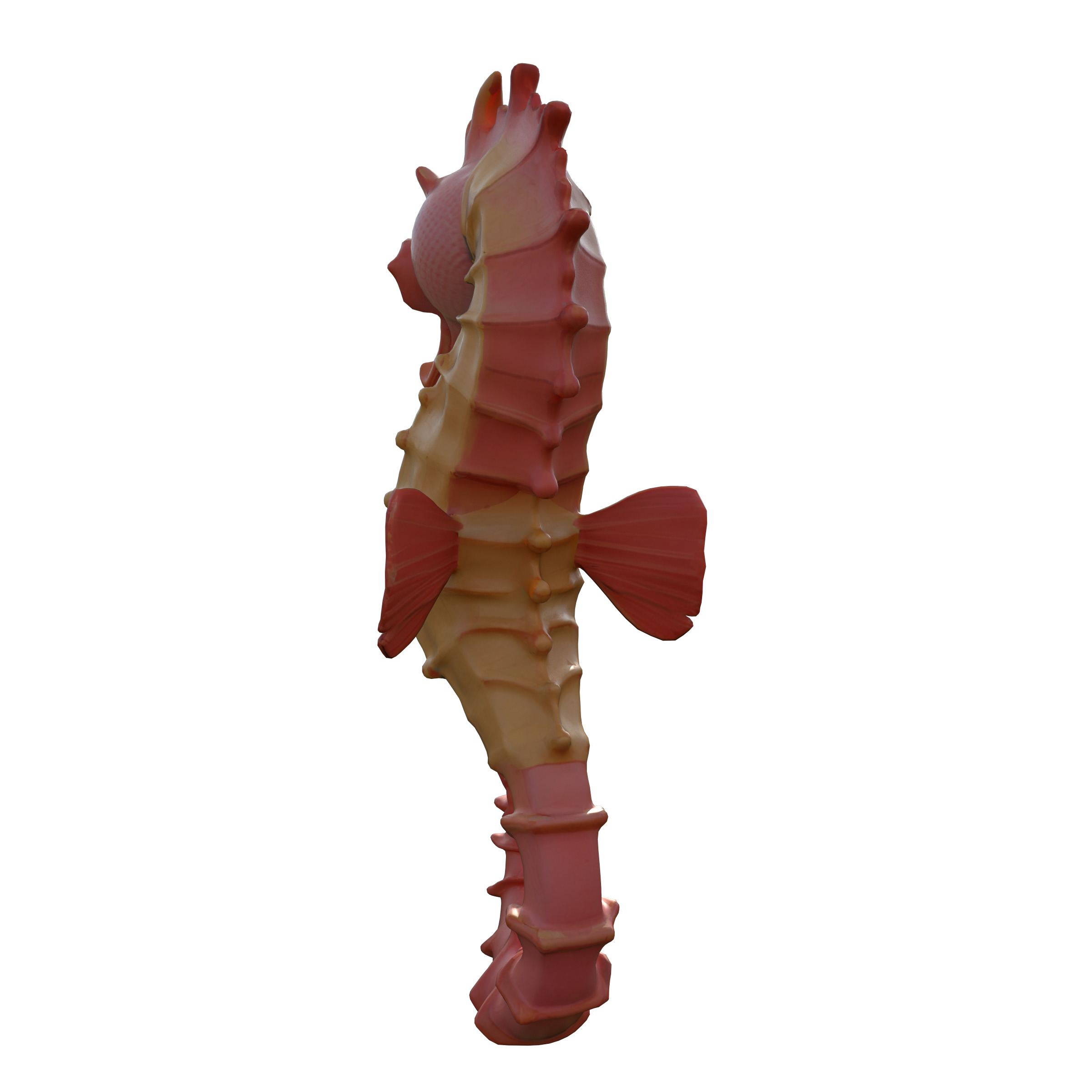 Seahorse Low-poly 3D model_7