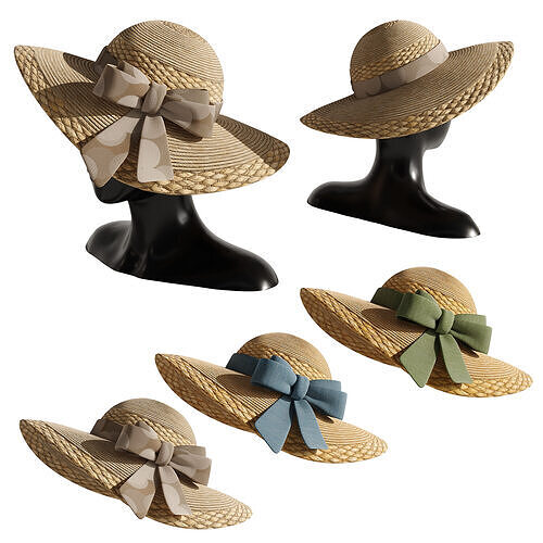 Womens straw hat 5 3D model