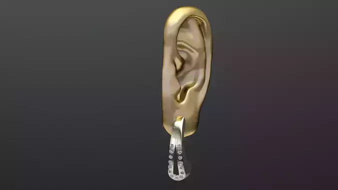 Earrings 3D print model