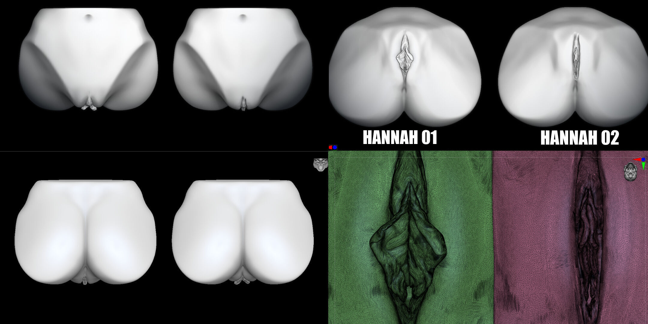 HANNAH- ZBRUSH VDM- OBJ- FEMALE ANATOMY 3D model_8