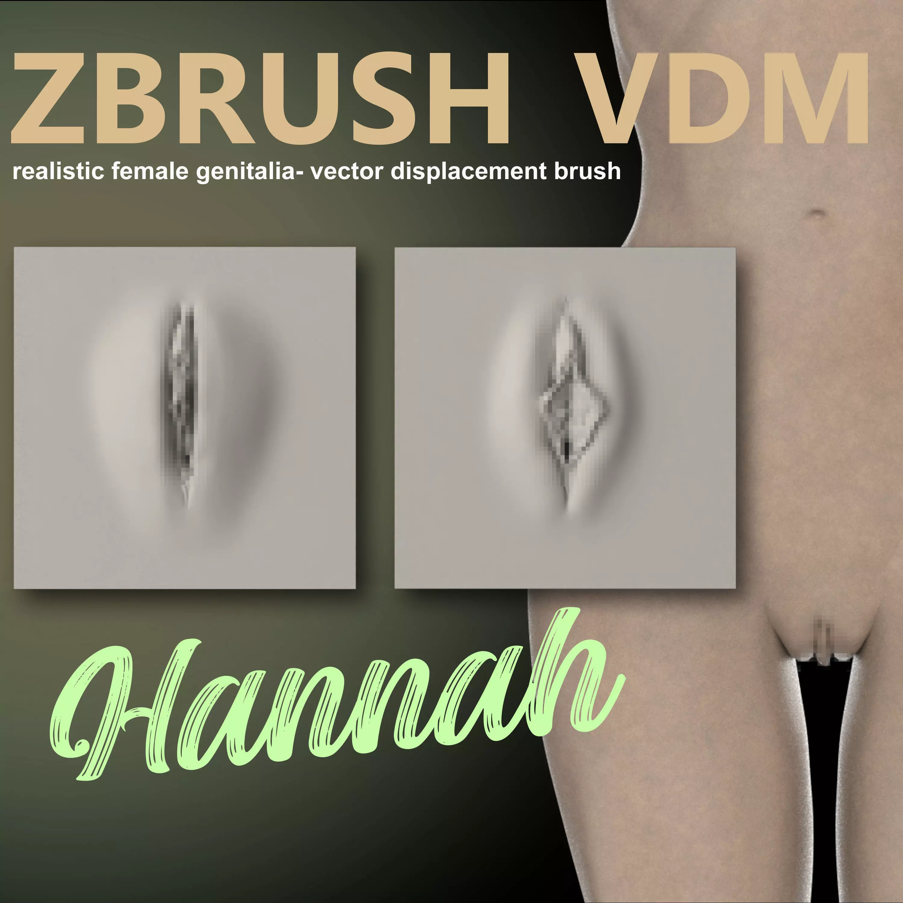 HANNAH- ZBRUSH VDM- OBJ- FEMALE ANATOMY 3D model_0