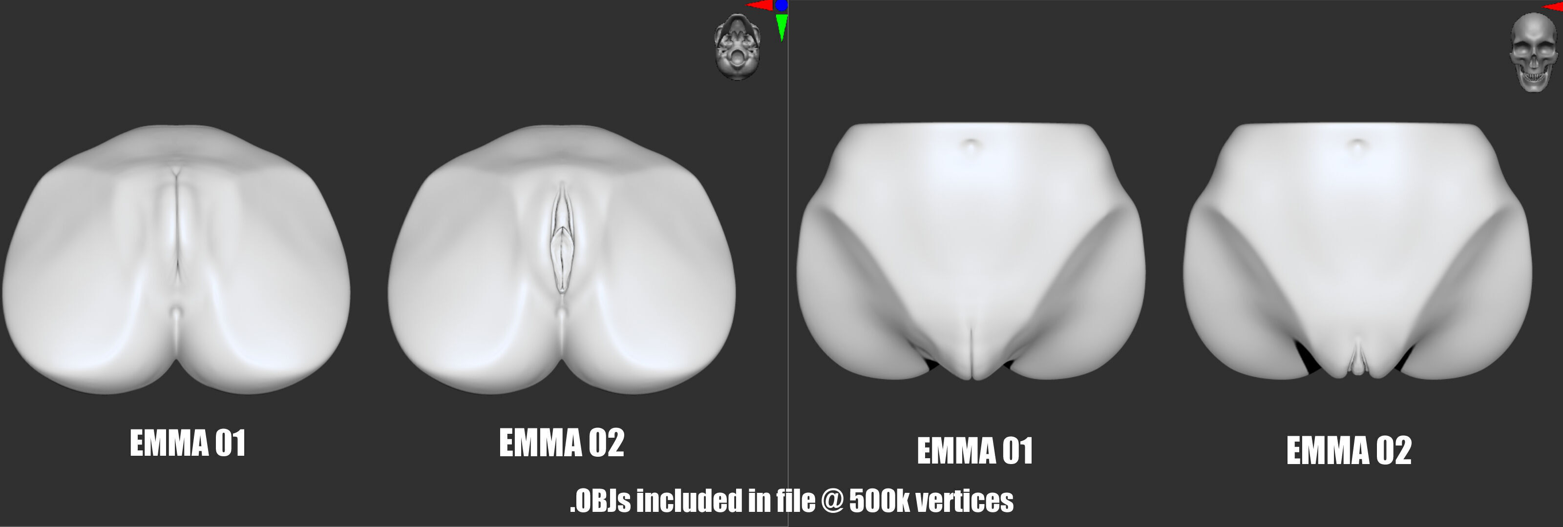 EMMA- ZBRUSH VDM- OBJ- FEMALE ANATOMY 3D model_8