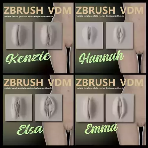 FEMALE ANATOMY- ZBRUSH VDM combo- OBJ 3D model