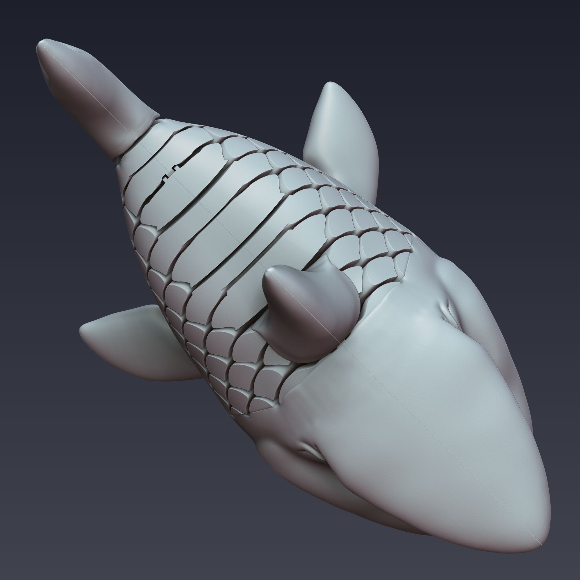 White Shark Articulated 3D print model_3