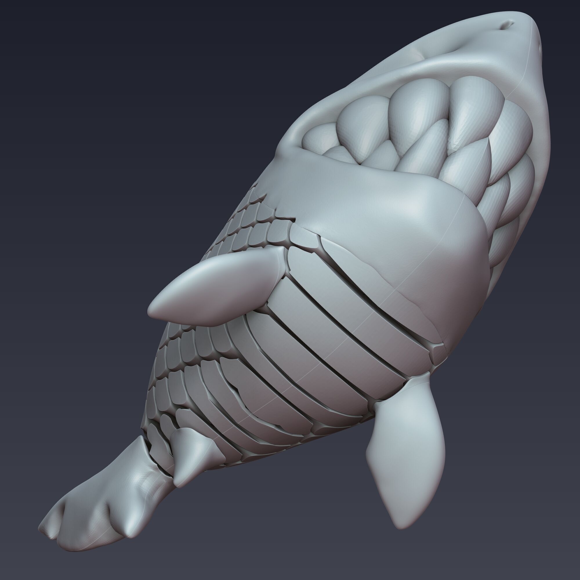 White Shark Articulated 3D print model_4