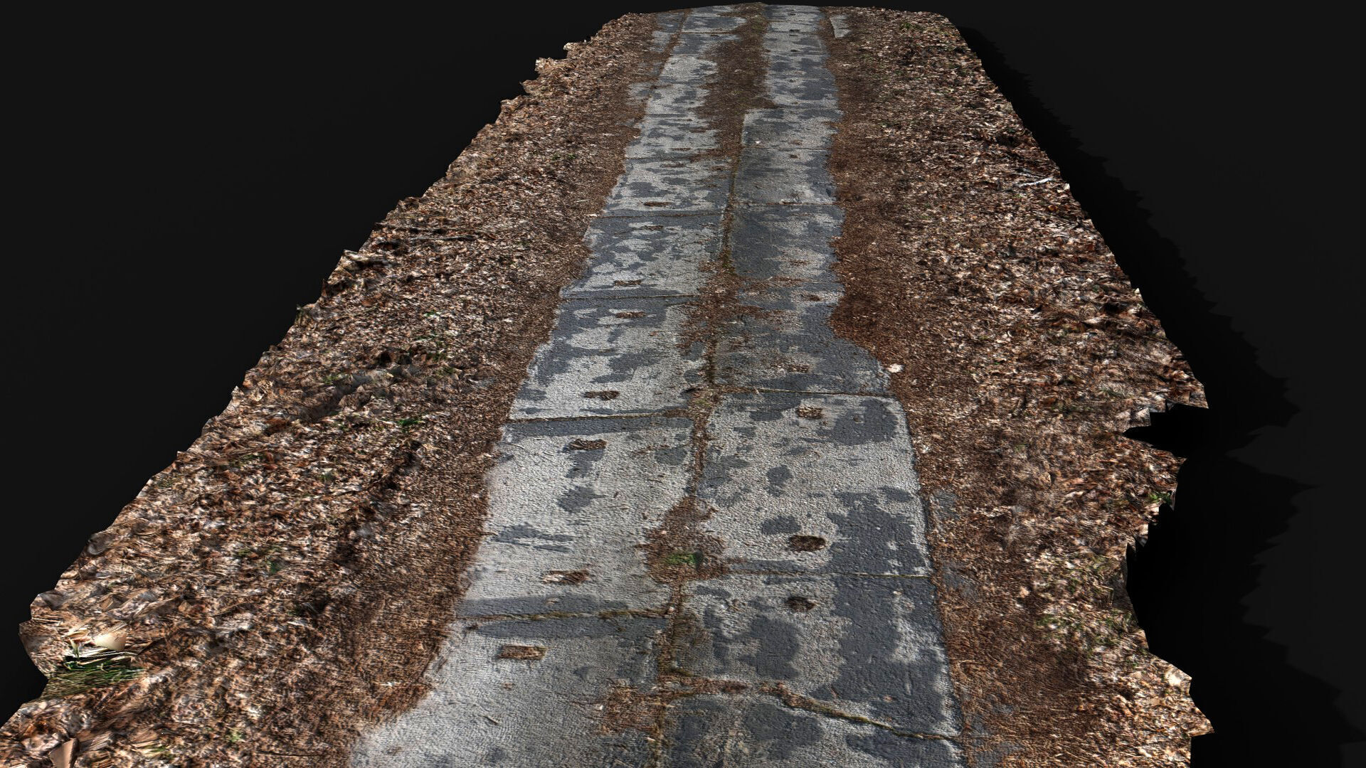 abandoned concrete forest road photogrammetry Low-poly 3D model_2
