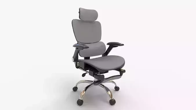 Tookfun Ergonomic Chair
