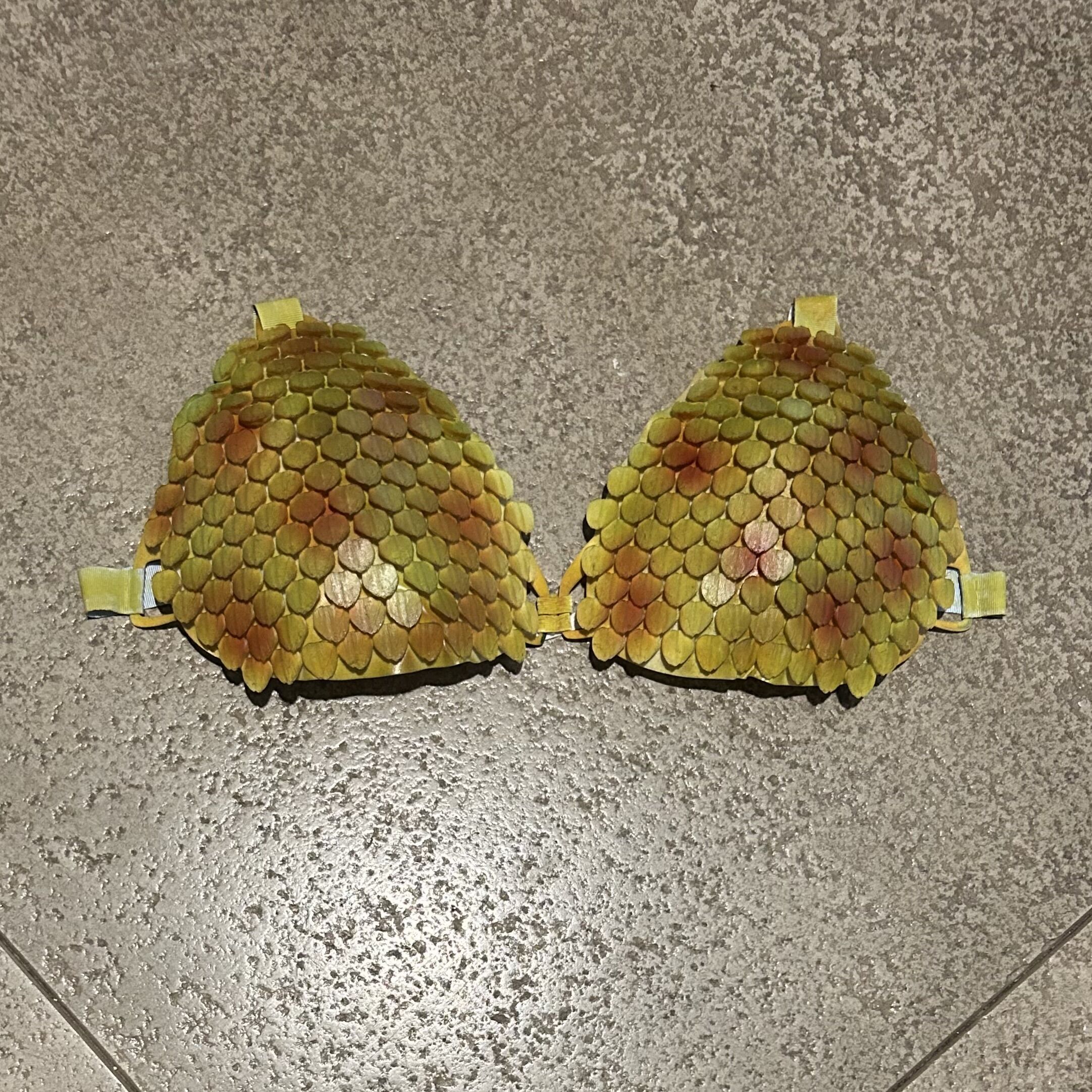 Flexible Scales Bra 3D print model_2