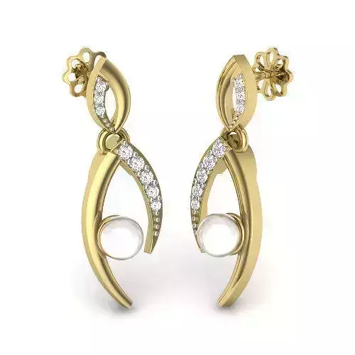 Printable 3D Jewelry design of Earrings with diamonds