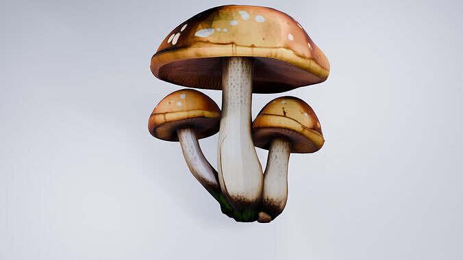 Low Poly Mushrooms - Stylized Forest Prop  Free 3D model