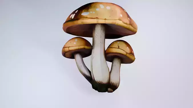 Low Poly Mushrooms - Stylized Forest Prop Free 3D model
