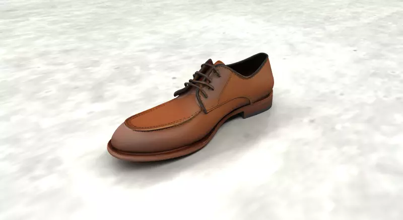 Premium leather shoe for men 3D model_0