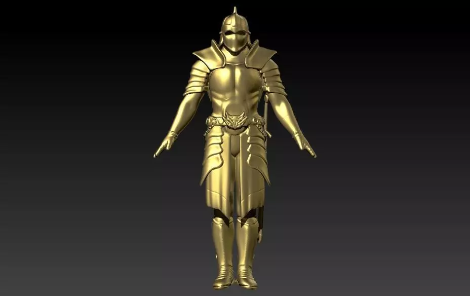 Knight in Shining Armour Pendant 3D print model_0