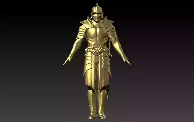 Knight in Shining Armour Pendant