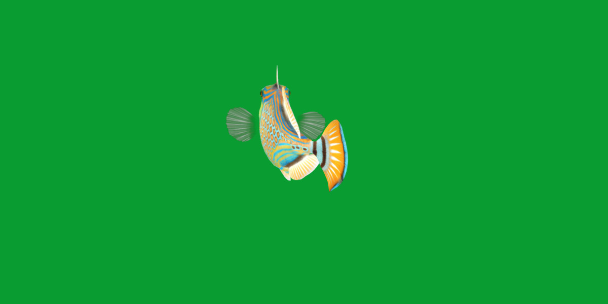 Orangestripe Triggerfish Low-poly 3D model_30