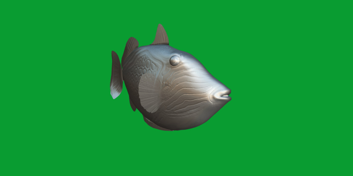Orangestripe Triggerfish Low-poly 3D model_14