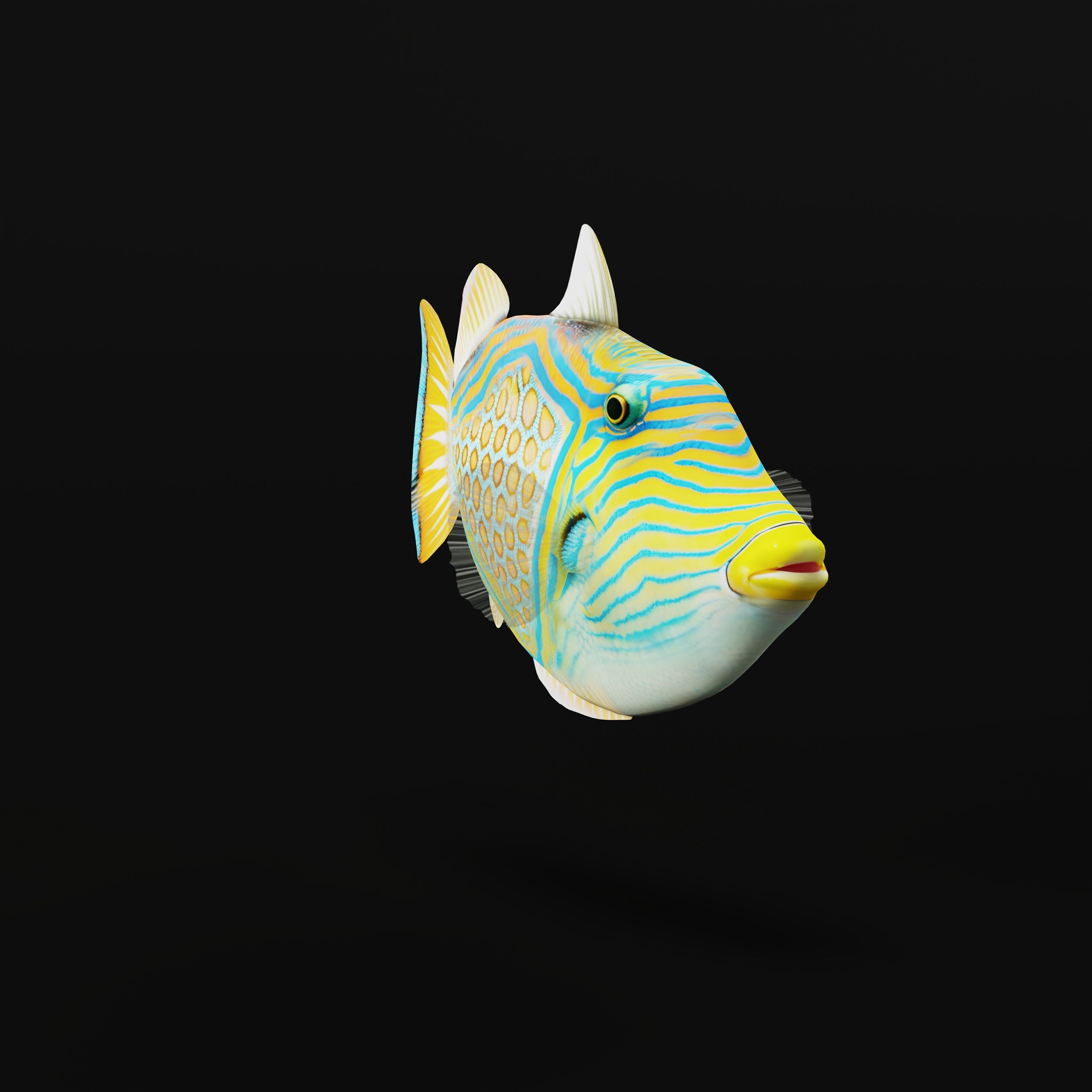 Orangestripe Triggerfish Low-poly 3D model_37