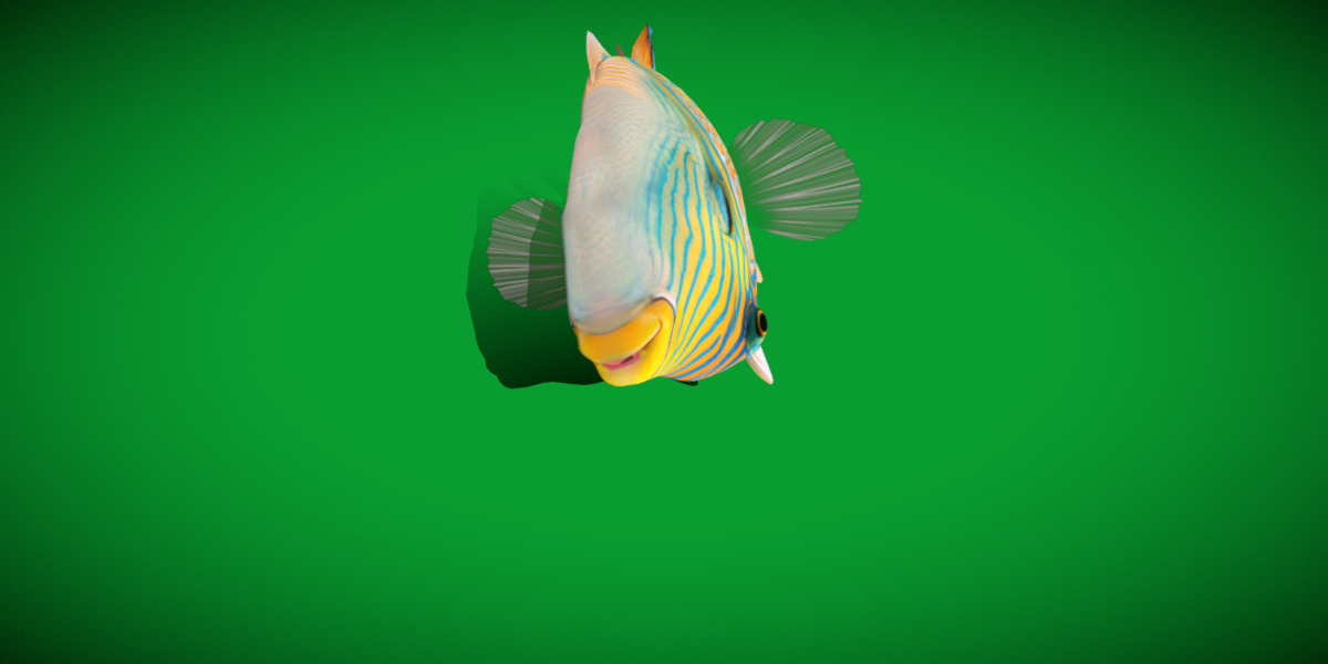 Orangestripe Triggerfish Low-poly 3D model_27
