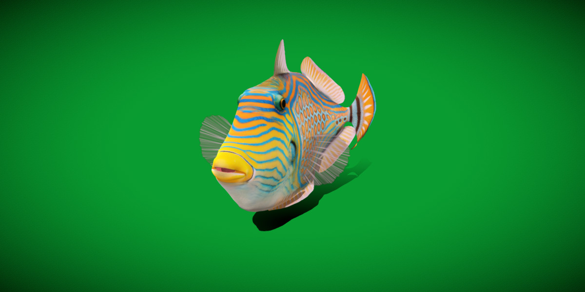 Orangestripe Triggerfish Low-poly 3D model_25