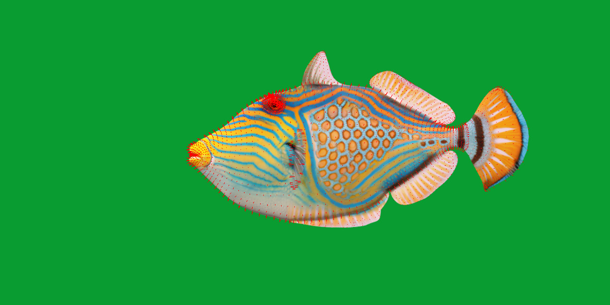 Orangestripe Triggerfish Low-poly 3D model_20