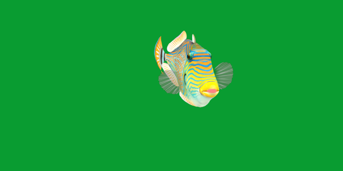 Orangestripe Triggerfish Low-poly 3D model_35