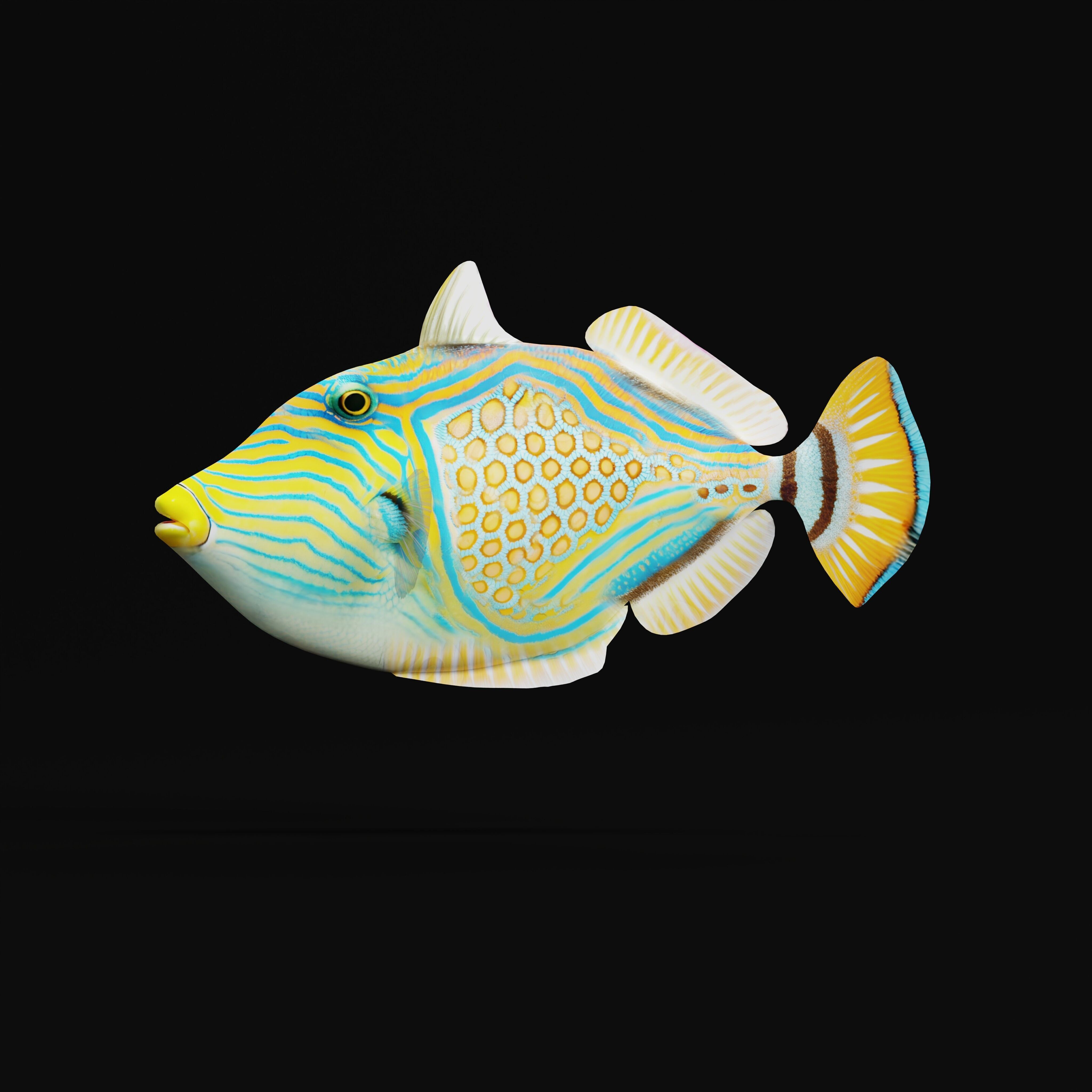 Orangestripe Triggerfish Low-poly 3D model_39