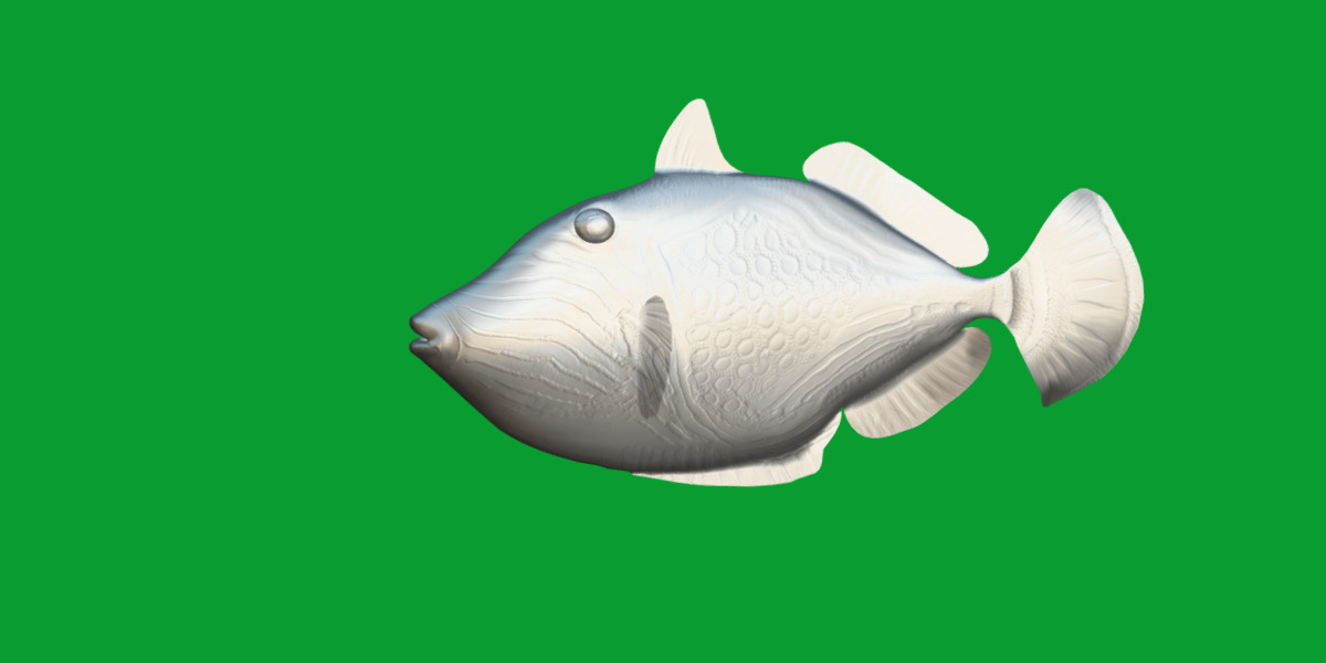 Orangestripe Triggerfish Low-poly 3D model_13
