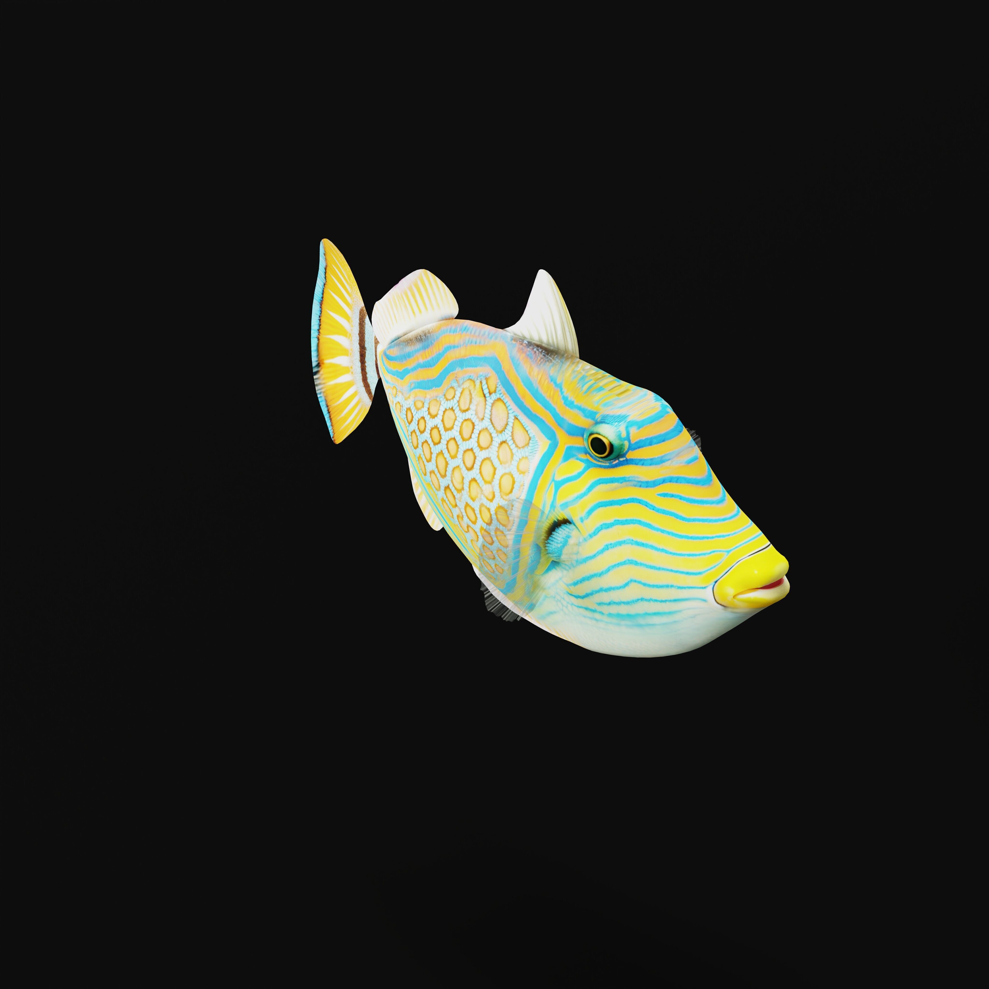 Orangestripe Triggerfish Low-poly 3D model_41