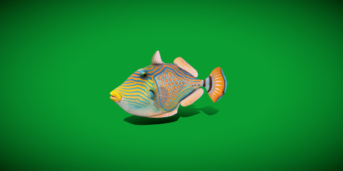 Orangestripe Triggerfish Low-poly 3D model_36