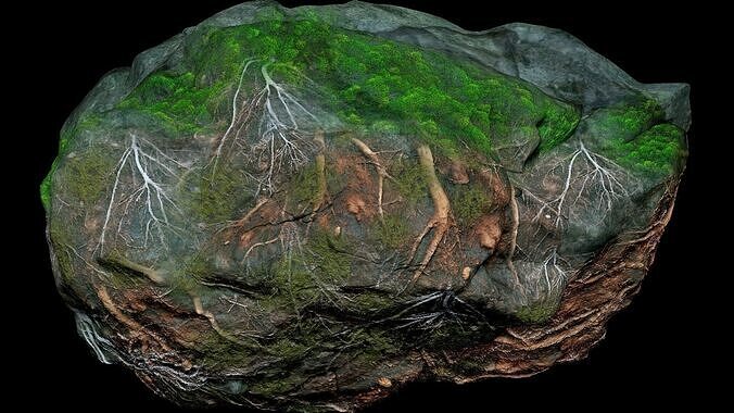 Rock Root Moss Unreal Engine - Blender Low-poly 3D model
