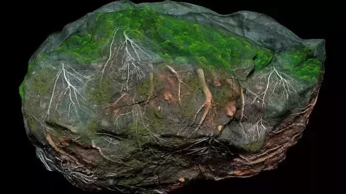 Rock Root Moss Unreal Engine - Blender
