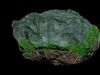 Rock Root Moss Unreal Engine - Blender Low-poly 3D model_1