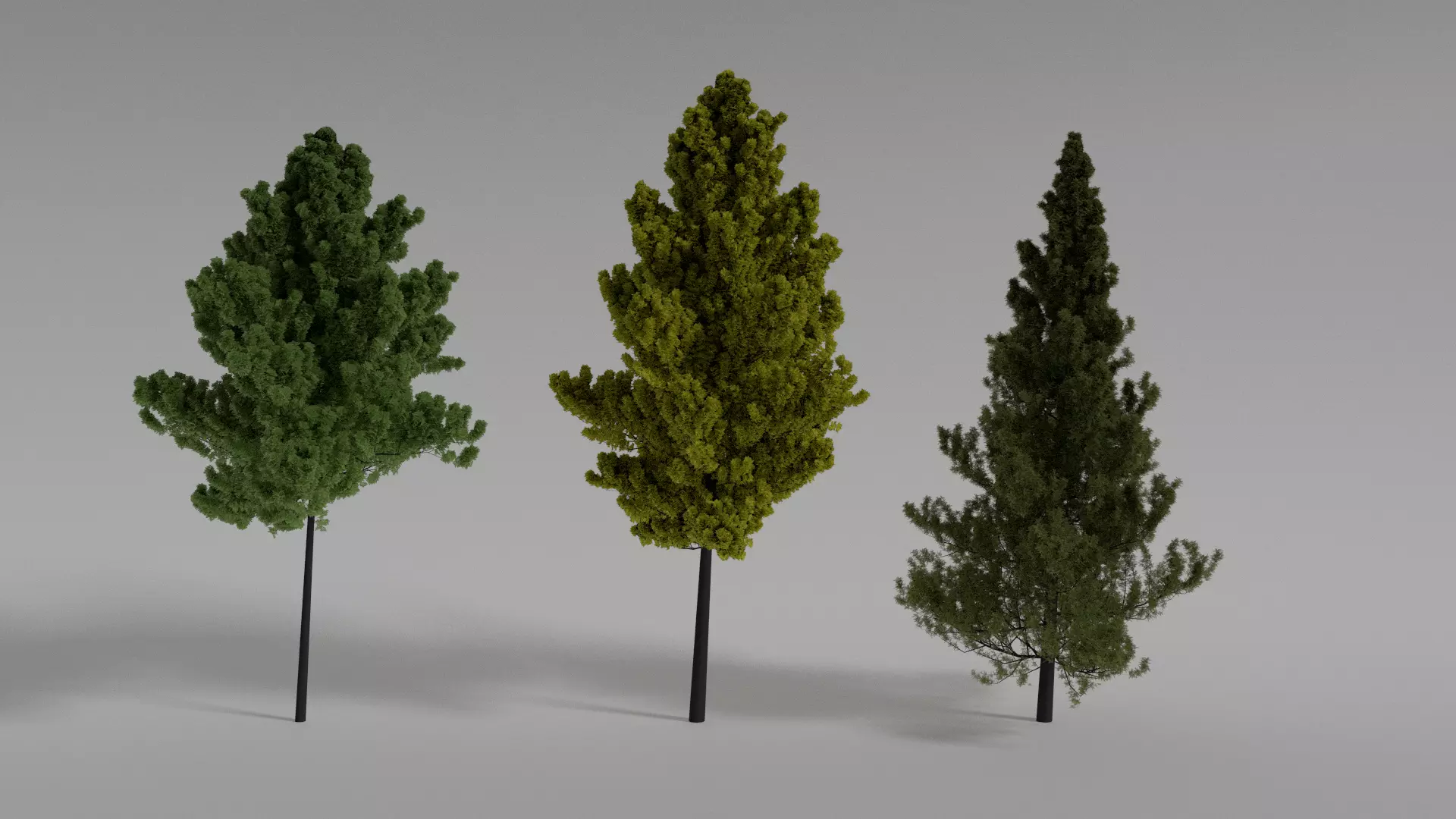 Green Trees Free 3D model