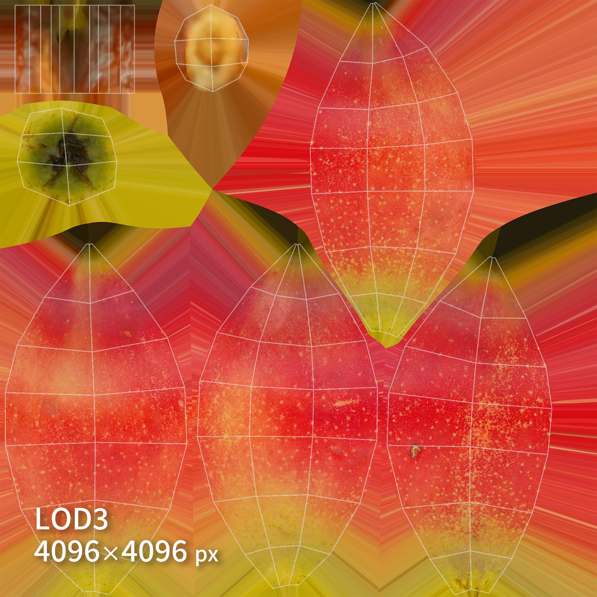 Apple 3D model Low-poly 3D model_9